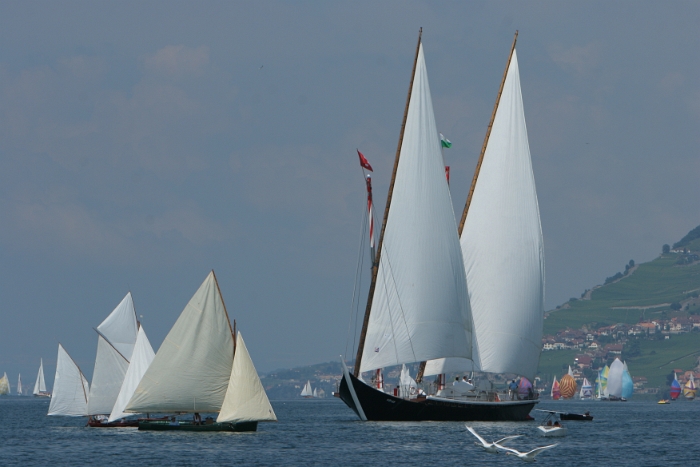 Regate Vieux Bateaux - 178 - 2008